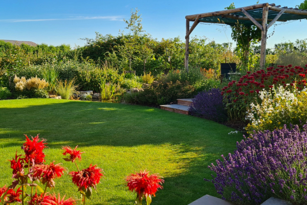 Garden Landscape: Expert Tips for Summer Lawn Care